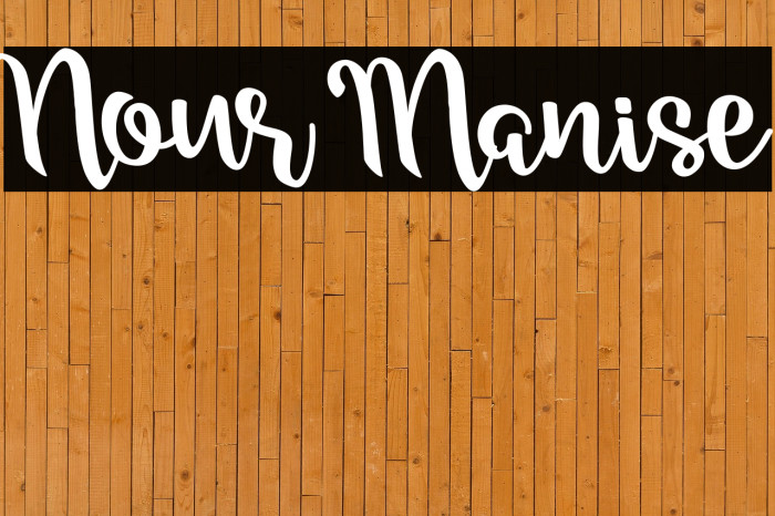 Nour Manise Example 1