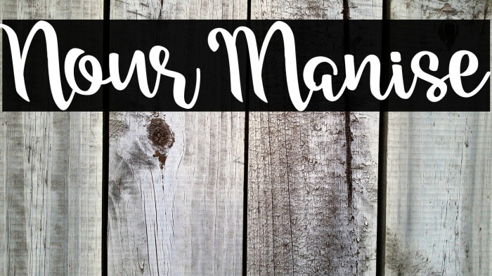 Nour Manise Example 2