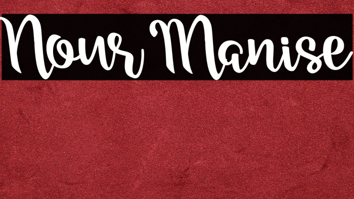 Nour Manise Example 3