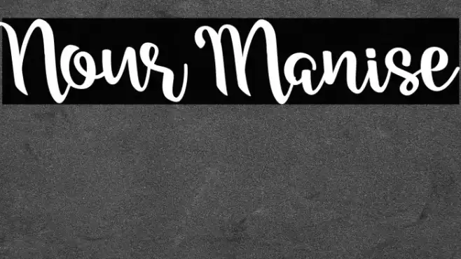 Nour Manise Example 3