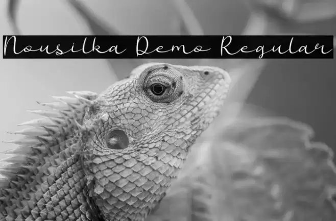Nousilka Demo Regular Font examples