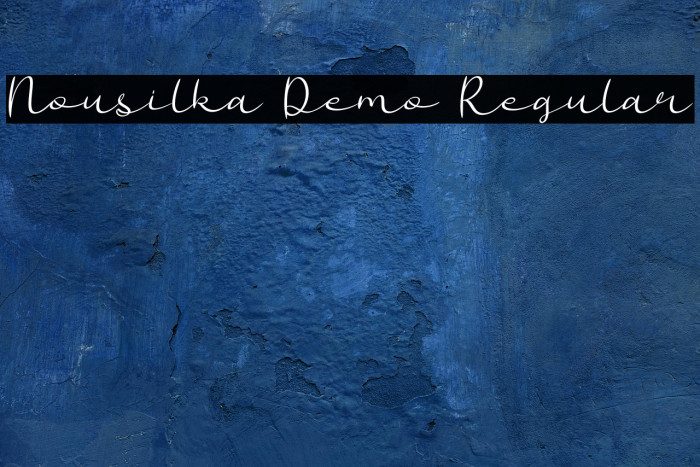 Nousilka Demo Regular Example 2