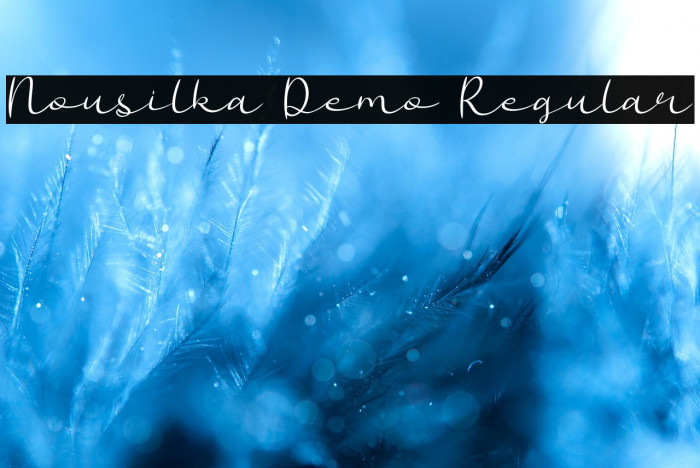 Nousilka Demo Regular Example 3