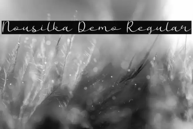 Nousilka Demo Regular Font examples
