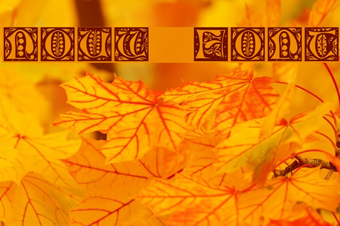 Nouv Font examples