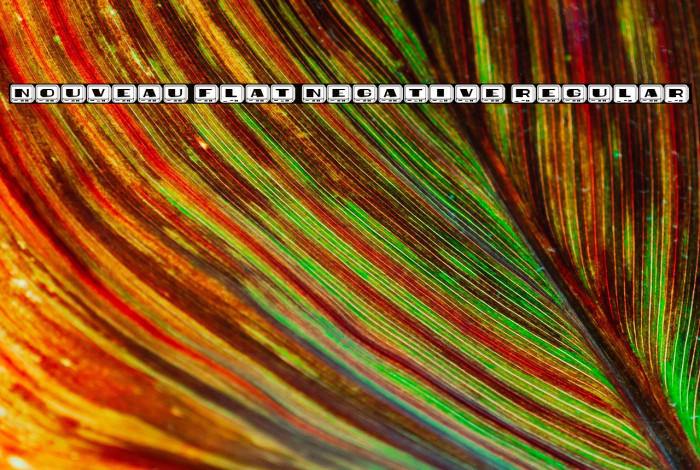 Nouveau Flat Negative Regular Example 1