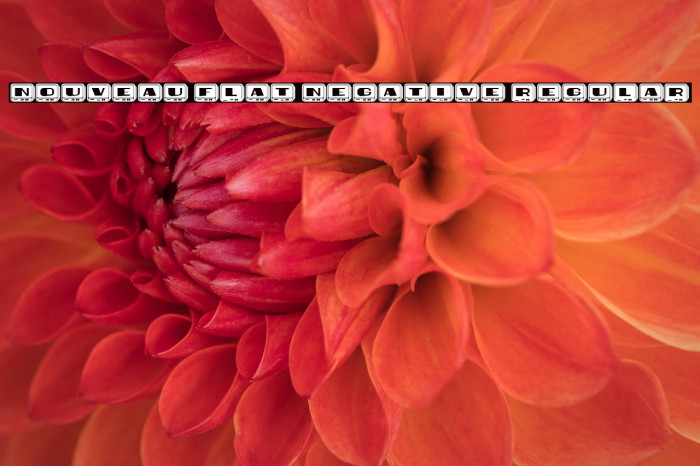 Nouveau Flat Negative Regular Example 3