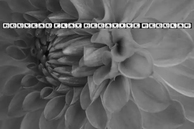 Nouveau Flat Negative Regular Example 3