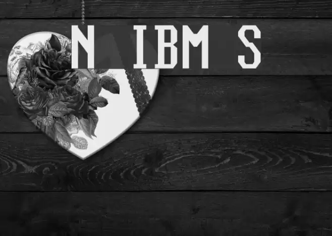 Nouveau IBM Stretch フォント examples