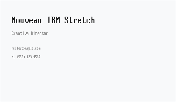 Nouveau IBM Stretch Business Card