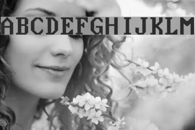 Nouveau IBM Font examples