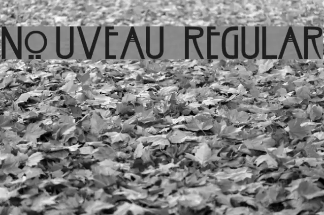 Nouveau Regular Font examples