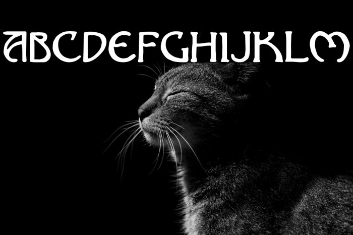 Nouveau Uncial Caps Example 2