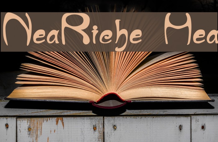 NouveauRiche Heavy Font examples