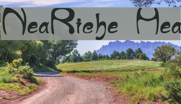 NouveauRiche Heavy Font examples
