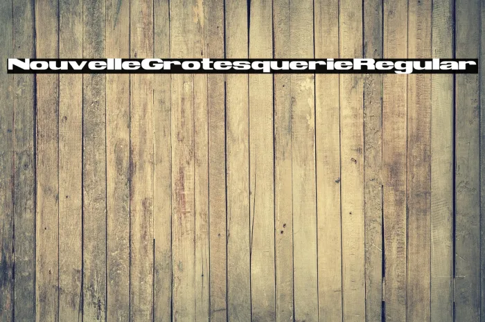 Nouvelle Grotesquerie Regular Example 1