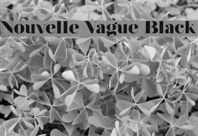 Nouvelle Vague Black Font examples