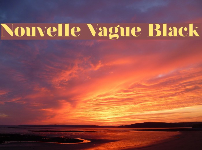 Nouvelle Vague Black Schriftart examples