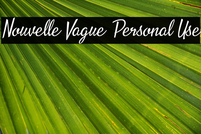 Nouvelle Vague Personal Use Example 1