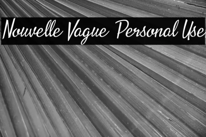 Nouvelle Vague Personal Use Example 1