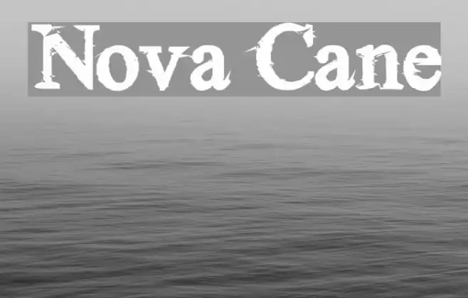 Nova Cane Font examples