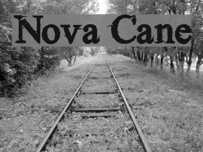 Nova Cane Font examples