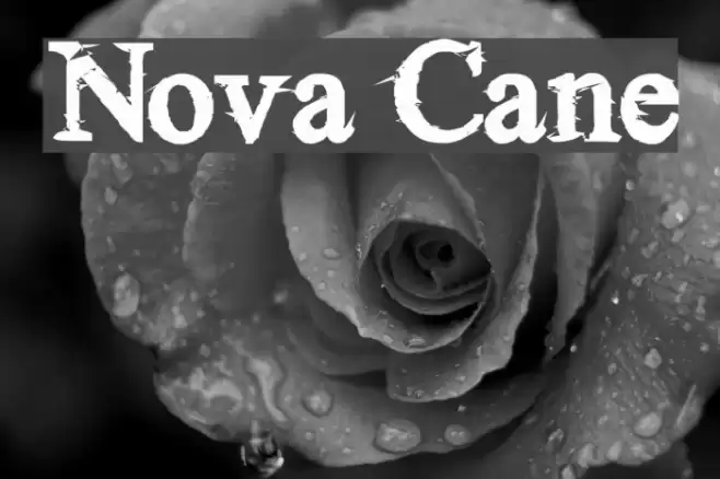 Nova Cane Font examples