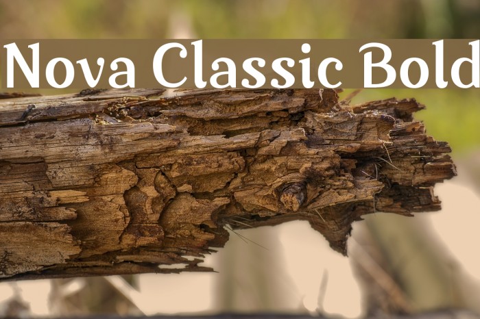 Nova Classic Bold Example 1