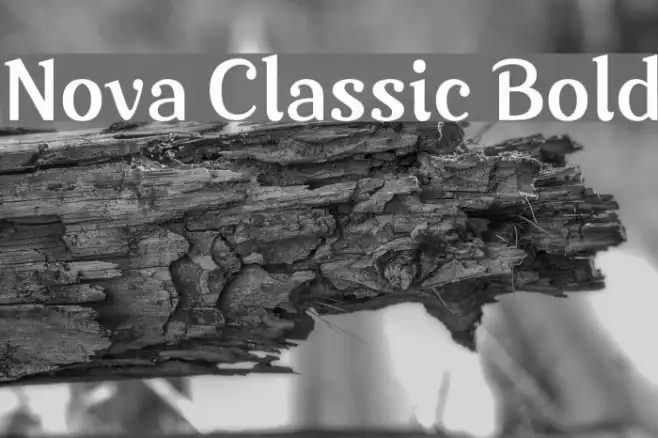 Nova Classic Bold Example 1