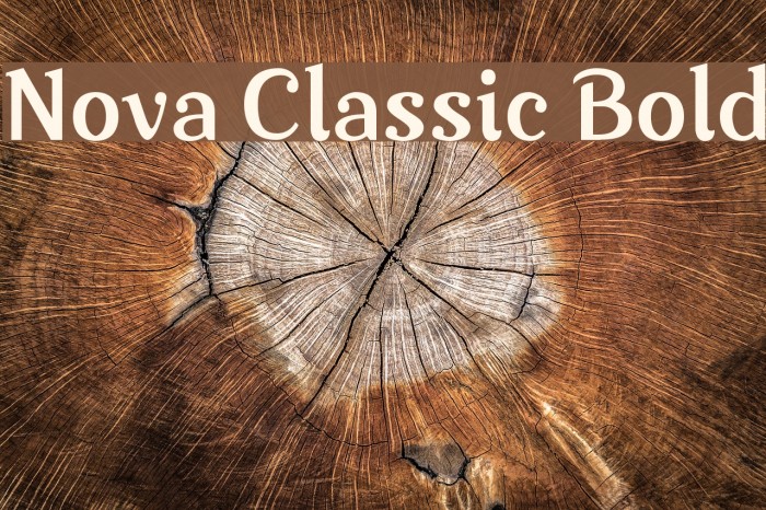 Nova Classic Bold Example 3