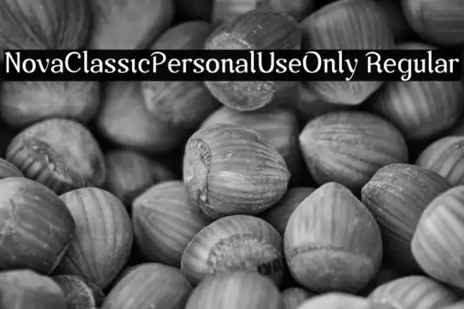 Nova-Classic-Personal-Use-Only Regular Example 1