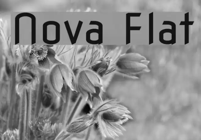 Nova Flat Font examples