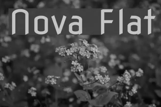 Nova Flat Font examples