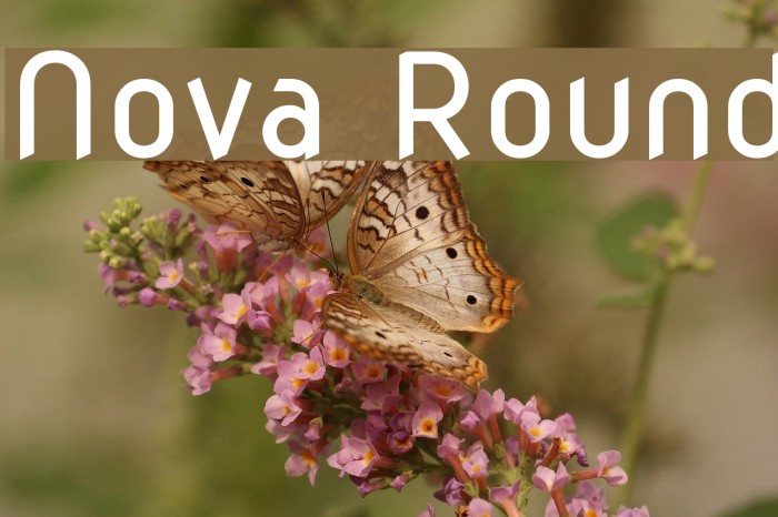 Nova Round Font examples