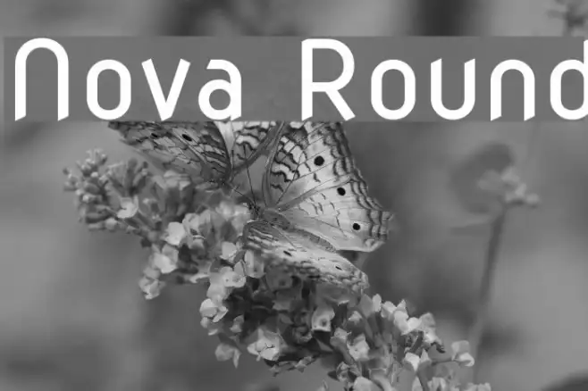 Nova Round Example 3