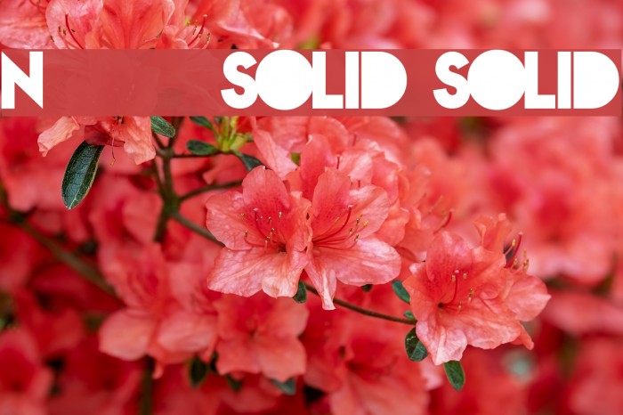 Nova SOLID SOLID Font examples