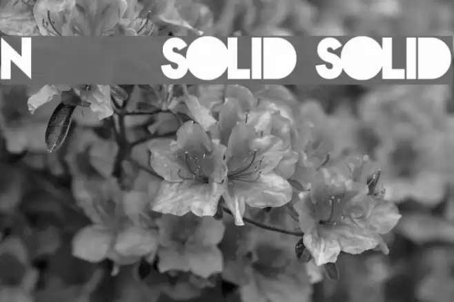 Nova SOLID SOLID Font examples