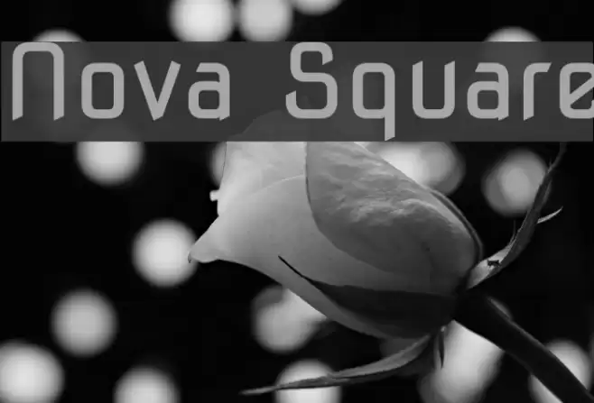 Nova Square خط examples