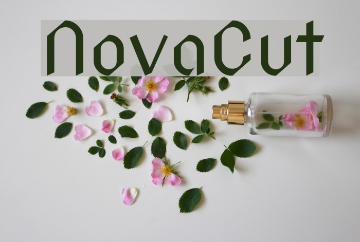 NovaCut Font examples