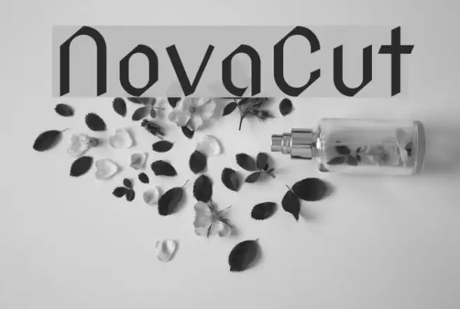 NovaCut Example 3