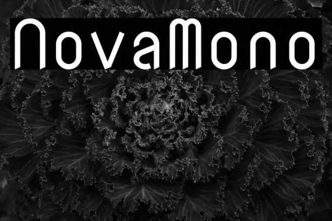 NovaMono Font examples