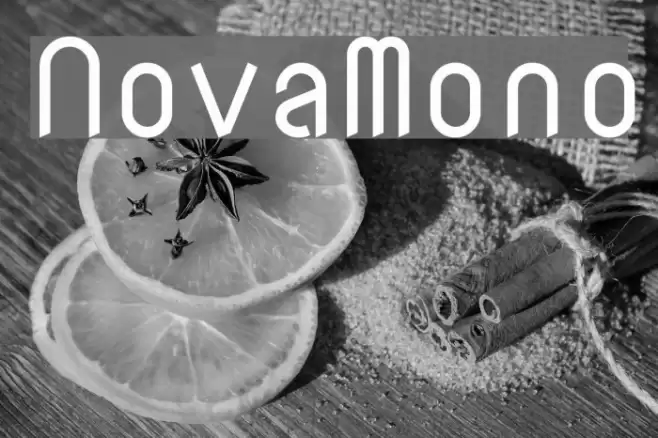 NovaMono Font examples