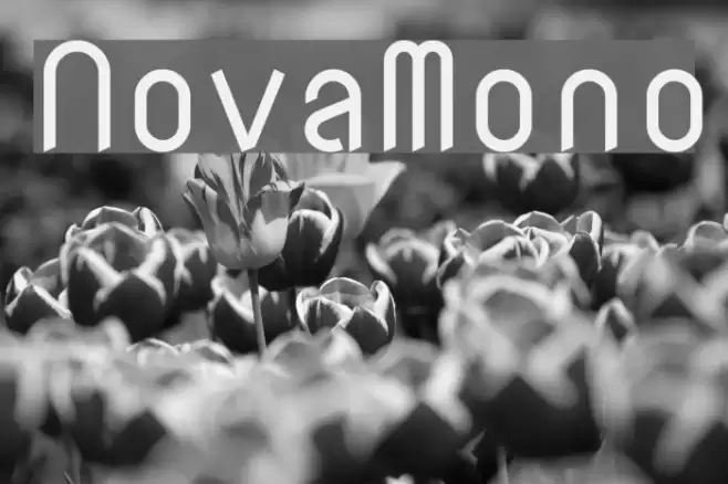 NovaMono Font examples