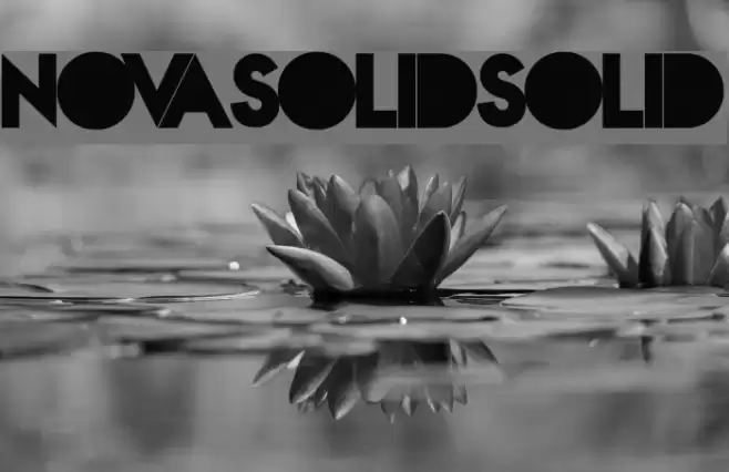 NovaSOLIDSOLID Font examples