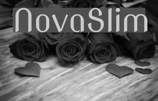 NovaSlim Example 1