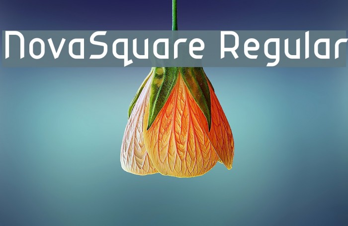 NovaSquare Regular Font examples