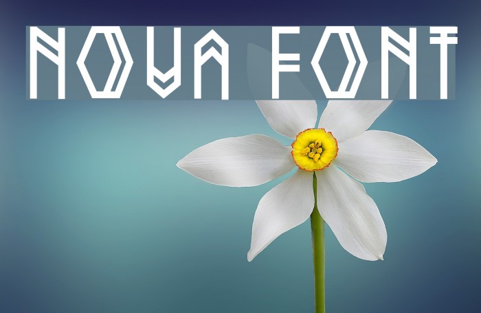 Nova Font examples