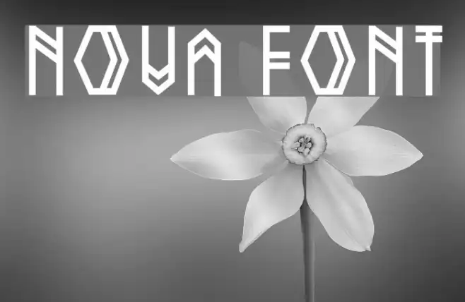 Nova Example 1