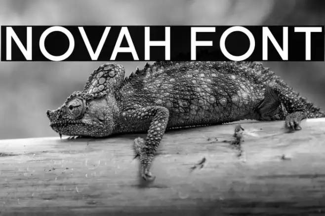 Novah Example 2