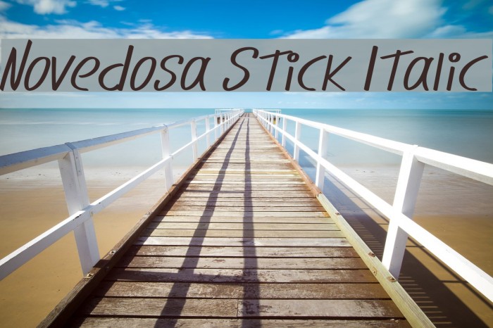 Novedosa Stick Italic Example 1